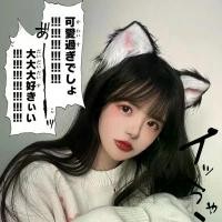 ราคา กิ๊บติดผม หูแมวนึ่ง รูปหูแมว หูกระต่าย หูแมว เครื่องประดับผ้าโพกศีรษะแมว สไตล์ญี่ปุ่น น่ารักและหรูหรา ที่คาดผม ที่คาดผม ที่คาดผม เหมาะสำหรับเล่น (1731696979013896884)