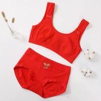 ราคา ชุดชั้นในเด็ก, วัสดุทองเหลือง, ชุดเสื้อกั๊กระยะพัฒนาการของผู้หญิง, การออกแบบสาวพื้นเมืองสีแดง, เหมาะสำหรับนักเรียนมัธยมต้น, ชุดชั้นในผ้าฝ้ายแท้สำหรับเด็ก ถุงน่อง สี ขาว ผู้ ใ (1730982917166631212)