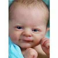 ราคา ชุดตุ๊กตาเกิดใหม่, NPK, 17 นิ้ว, เอลฟ์นางไม้, ฟินน์, พร้อมร่างกายและดวงตา, ส่วนตุ๊กตาไม่ทาสี ตุ๊กตา ญี่ปุ่น มือ2 ลิขสิทธิ์ แท้ คิมม่อน เลโมนี ่ (1731807708121957676)