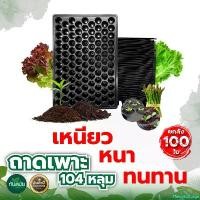 ราคา FlavorfulForge คุณภาพรับประกันได้ (ยกลัง 100ใบ) ถาดเพาะ ขนาด 104หลุม ตรา TPK ถาดเพาะกล้า หนา ทนทาน ใช้เพาะปลูกได้หลายรุ่น เพาะต้นกล้า ถาดเพาะกล้า ถาดเพาะต้นอ่อน (1730854715302840461)