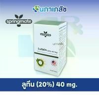 ราคา ลูทีน Lutein (20%) 40 mg. ผลิตภัณฑ์เสริมอาหาร ตรา สปริงเมท Springmate 30 แคปซูล (1732269970304829533)