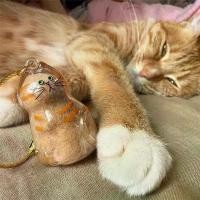 ราคา พวงกุญแจเก็บขนแมว, จี้กล่องเก็บขนแมวใส, แคปซูลเก็บขนแมว ต่าง หู อลังการ กํา ไล พลอย ต่าง หู อลังการ jewelry mystery jar sally jewelry accessories tiffany and co rose go (1731799952790423446)