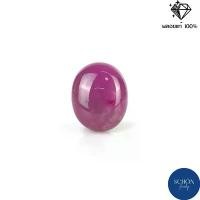 ราคา พลอย ทับทิมแท้ Ruby Natural มีสตาร์ พลอยสีแดง พลอยเนื้อแข็ง พลอยธรรมชาติ 100 (1731673085244507831)