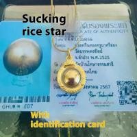 ราคา ตราวัดพุทธ ของแท้จากวัดไทย มีพระกาบูปากข้าวและพระวรุณกินน้ำทะเล ปรอด จับ ทอง (1731973787854867089)