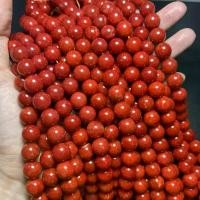 ราคา ขายส่ง️ ปะการัง 10 มิล เส้นยาว หินนำโชค หินมงคล หินสี หินแท้ DIY เครื่องประดับ กำไลหิน กำไลหินสี กำไลหินนำโชค (1729450040127687498)