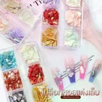 ราคา อะไหล่ติดเล็บ เปลือกหอย บาง Set 6 ช่อง หินสี แผ่นบางประกาย อะไหล่แต่งเล็บ DIY Nail (1731375941910955719)