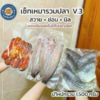 ราคา เซ็ทเหมารวมปลาแดดเดียว v.3 ช่อน+สวาย+นิล (นำ้หนักรวม 1,500 กรัม) (1732239954840750762)