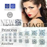 ราคา IMAGIE ต่างหูเพชร Cz Princess Cushion Asscher 3-10mm จัดส่งเฉพาะจุด กำไลเชือกเทียน katherine pierce necklace ทอง เหมือน แท้ ที่ สุด hoop earring แหวน หัว กระเบน (1731575059767330820)