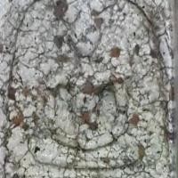 ราคา พระเครื่อง สมเด็จ วัดระฆัง พระ แท้ ซื้อ ขายพระ บูชา สร้อย ข้อมือ พระพุทธรูป เหรียญหลวงปู่มหาตุ่ม เหรียญ ขาย พระบ้าน สะสม แท้ๆ หลวงพ่อ (1729710233367841160)