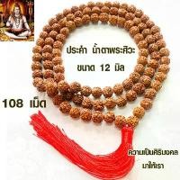 ราคา ประคำ 12 มิล 108เม็ด น้ำตาพระศิวะ ลูกประคำสร้อยคอ ประคำสร้อยคอ ลูกประคำ สวดมนต์ ประคำสวดมนต์ นั่งสมาธิ ลูกแก้ว สร้อย ZX (1731926803644646595)