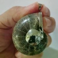 ราคา Ammonite pendant จี้ แอมโมไนต์เต็มตัว หอย แอมโมไนต์ หอยล้านปี จี้หอยแอมโมไนต์ คตหอย ใส่พกติดตัว เพิ่มพลัง แอมโมไนท์ คลังสินค้า (1731932525950043233)