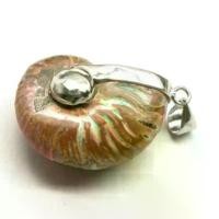 ราคา Ammonite pendant จี้ แอมโมไนต์เต็มตัว หอย แอมโมไนต์ หอยล้านปี จี้หอยแอมโมไนต์ คตหอย ใส่พกติดตัว เพิ่มพลัง แอมโมไนท์ สปอตสินค้า (1731843689233679805)