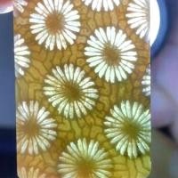 ราคา กำไลข้อมือธรรมชาติ, หยกปะการัง, จี้หยก Kaleidoscope, แกะสลัก, สร้อยข้อมือกำไลข้อมือคู่, 2025 (1731279728221652392)