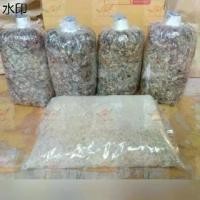 ราคา แนะนำวันนี้ เชื้อเห็ดฟาง 4ก้อน + อาหารเสริม 1 ถุง แถมวิธีเพาะ (1731906655211849163)