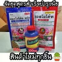 ราคา จัดชุด ออสโมโค้ท(13-13-13) ออสโมโค้ทพลัส(12-25-6+1%) วิตามิน B1(ไอรินมัลติ) ชุดสำเร็จรูป ปลูกพืชทุกชนิด ราคาประหยัด ที่นิยมมากที่สุด (1731430028945819376)