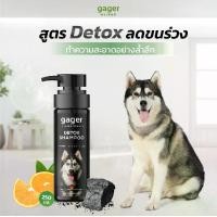 ราคา Gager แชมพูอาบน้ำสุนัข อ่อนโยน สูตรDetox สกัดจากถ่านชาโคล เปลือกส้ม แชมพูหมา แชมพูสุนัข ครีมอาบน้ำหมา แชมพูเข้มข้น แชมพูดีท็อกซ์ Dog Shampoo (มีให้เลือก 4 ขนาด) (1729457777723804164)