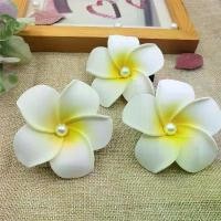 ราคา กิ๊บติดผม Plumeria, วันหยุดที่ชายหาด, ร้านเสริมสวย, โรงแรม, แช่เท้า, สปาเท้า, เครื่องประดับผม กิ๊บ โบว์ คิตตี้ กิ๊บ ติด หมวก พยาบาล ปากกา สี น้ําเงิน กิ๊ฟช็อป သ ာ း တ ု (1732315392031557875)