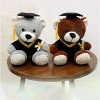 ราคา ตุ๊กตาหมีรับปริญญา 25 ซม. ดีไซน์น่ารัก Dr. หมวก ตุ๊กตาหมีนั่งนุ่ม ๆ ของเล่นตุ๊กตาหมี ของขวัญรับปริญญา (1731710127135819285)