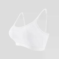 ราคา งานเซต2ชิ้นใหม่ ก า ง เ ก ง ช ้ า ง ขา ส ั ้ น บ ร า ป ี ก น ก ดันทรง ยกทรงยกโหล12ตัว บรา Victoria บราล่องหน สำหรับผู้หญิง ชุดชั้นในผ้าฝ้ายเรียบง่าย เสื้อชั้นในเซ็กซี่ เปลือยหลัง (1732283574714992643)