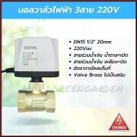 ราคา Shenteng'Shop ปัจจุบัน บอลวาล์วไฟฟ้า มอเตอร์วาล์ว 3สาย 220V 1/2" motorized valve IP54 บอลวาล์วมอเตอร์ไฟฟ้าทองเหลือง 4หุน (1730406801787685210)