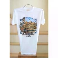 ราคา เสื้อยืดฮาเลย์ -Sport-T Vintage Sine 1970-ผ้า 50/50 Label #USA คําแนะนําการขายที่ร้อนแรงในเดือนนี้ (1732140220181285836)