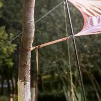 ราคา เชือกเต็นท์สำหรับตั้งแคมป์, เครื่องมือยึดเต็นท์, อุปกรณ์เดินป่า, เชือกผูกเต็นท์, เชือกผูกเต็นท์, เชือกตั้งแคมป์ (1731903908078389147)