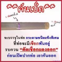 ราคา virulentlyshop ปัจจุบัน คันเบ็ด BISON S2 2024 ต่อโคน Sports ออกกำลังกาย (1730313445926733923)