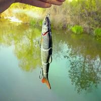 ราคา เบ็ดตกปลา แบบจำลองชีวิต 5 ส่วน ส้มฉุน สดใส (1732341186087520583)