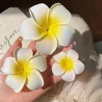 ราคา 【MDD】กิ๊บติดผม ลายดอกไม้ ไข่ ติดด้านข้าง ริมทะเล ชายหาด รูปภาพ กิ๊บติดผม เครื่องประดับผม ดอกไม้ ติด ผม ทองกวาว ดอกชบา ติด ผม กิ๊บ ลูกปัด (1731989793827228501)