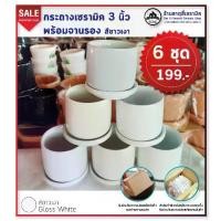 ราคา กระถางต้นไม้ เซรามิค 3 นิ้ว เคลือบสีขาวเงา พร้อมจานรอง 6 ชุด 199 (1729674220796611149)