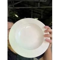 ราคา จานหลุม สปาเก็ตตี้ พาสต้า สีขาวล้วน 9 นิ้ว เซรามิค พอร์ซเลน ลายเกล็ดมังกร ออกใบกำกับภาษีได้ รหัส101624 (1731065609014250337)