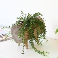 ราคา เครื่องประดับแจกัน, วัสดุไม้เนื้อแข็ง, การแทรกดอกไม้ที่หวานและเป็นธรรมชาติ, เครื่องใช้ดอกไม้ย้อนยุคและเก่า, เหมาะสำหรับห้องนั่งเล่นและโต๊ะอาหาร, การตกแต่งที่เรียบง่าย, หัตถกรรม (1732013985936147591)