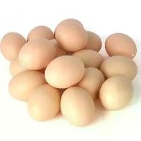 ราคา ของเล่นฟักไข่, 1PC, สำหรับเด็ก, โมเดลไข่จำลองในครัว, ภาพวาด DIY, เสน่ห์เส้น, ตกแต่งไข่พลาสติก, ของเล่นเพื่อการศึกษาสำหรับเด็ก (1731274697819982455)