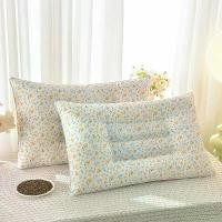 ราคา หมอน เมฆ Cassia เมล็ด หมอนแกน มาใหม่ หมอน อาหาร (1731807896415405998)