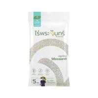 ราคา ข้าวขาวกข43 5Kg. คัดพิเศษ ปลอดสาร ไม่ใช้สารกันมอด แบรนด์ไร่พระจันทร์ ( ข้าว ข้าวสาร กข43 ข้าวกข43 RD43 rice ข้าวน้ำตาลต่ำ ข้าวน้ำตาลน้อย ดัชนีน้ำตาลต่ำ ) (1729574608137914449)