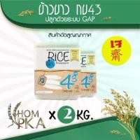ราคา ข้าวกข43 แท้ 100% (43 / RD43 Rice variety) ตรา หอมผกา (สติ๊กเกอร์) บรรจุ 2 kgs./ ลัง) ปลูกด้วยระบบ GAP ข้าวสาร ข้าวหอม ดัชนีน้ำตาลต่ำ (1729566988881332777)