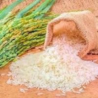 ราคา ข้าวสาร ข้าวหอมมะลิสุรินทร์ ข้าวขาวหอมสุรินทร์ (1731691684742596857)