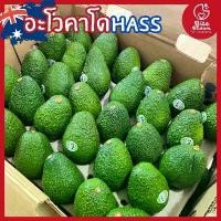 ราคา อโวคาโด้ แฮส hass พร้อมส่ง️ นำเข้า ออสเตรเลีย อะโวคาโด คัดเกรด avocado อโวคาโด อะโวคาโด้ ผลไม้ ผลไม้นำเข้า คําแนะนําการขายที่ร้อนแรงในเดือนนี้ (1731952301919078384)