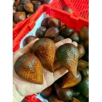 ราคา ผลไม้สด สละอินโดนำเข้า จัมโบ้ ๆๆๆ 11-13 ลูก 1 กก (1731203846517458757)