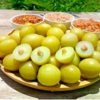 ราคา พุทรานมดองกรอบ พุทราดอง3รส (ขนาด 450g)พุทรานมสดดอง พุทราดองเกลือ พุทราดอง ผลไม้ดอง แถมฟรีพริกเกลือ3รส (1729610840227154159)