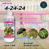 ราคา หญิงงาม 4-24-24 ปุ๋ยน้ำฟอสเฟต ขนาด 1 ลิตร สะสมอาหาร สร้างตาดอก ใบเขียวเข้มสมบูรณ์ ขยายขนาดผล เม็ดบัว ต้น ซิลเวอร์ โอ๊ค ต้น มูล เมล่อน เอ็กซ์ กลู โฟ ฮิว มิค ผง ชนิด เข้ม (1731883253461649213)
