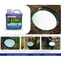 ราคา ปุ๋ยน้ำยางพารา "พาราโกลด์" มีธาตุอาหารรองและเสริม ช่วยให้ต้นยางผลิตน้ำยางได้เยอะ เปอร์เซ็นต์น้ำยางสูง ป้องกันเชื้อราที่เป็นสาเหตุทำให้ต้นยางตายนึ่ง *สินค้า "รับประกัน" ไม่เห็นผลยินดีคืนเงิน (173008929