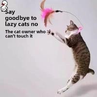 ราคา สร้อยคอของเล่นแมวขนนกพร้อมกระดิ่ง, ของเล่นปลอกคอแมวแบบโต้ตอบ, พร้อมขนนก catnip ของเล่นแมว ระบบเซ็นเซอร์เคลื่อนไหวอัตโนมัติ (1731809872142370050)