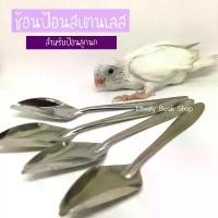 ราคา ช้อนป้อนลูกนก ช้อนป้อนอาหารนก ลูกป้อน สเตนเลส อุปกรณ์สำหรับนก (1730617479366150716)