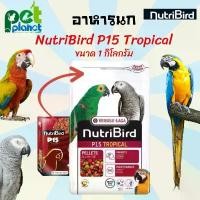ราคา [1kg.] อาหารนก Versele Laga Nutribird P15 อาหารสำหรับ นกแก้ว แอฟริกันเกรย์ มาคอร์ กระตั้ว ขาย (1731992143025112869)