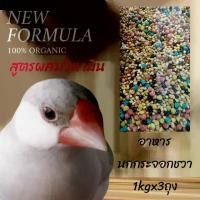 ราคา [จัดส่งทันที] Bird Food อาหารนก นกกระจอกชวา สูตรป้องกันโรค เสริมวิตามิน บรรจุ 1 กิโลกรัมx3ถุง (1731929329719346491)