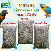 ราคา (1กิโลกรัม) ทานตะวัน อาหารนก ขนมนก อาหารนกแก้ว ขนมนกแก้ว เม็ดทานตะวัน A ป้อม เกรดพรีเมี่ยม คุณภาพดี ฝุ่นน้อย จัดส่งจากกทม (1731566520528504243)