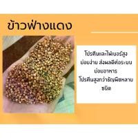 ราคา COD เมล็ดข้าวฟ่างแดง ข้าวฟ่าง ข้าวฟ่างนก ข้าวฟ่างแดงสำหรับนก อาหารเสริมนก อาหารนก ทำเชื้อเห็ด *****แบ่งบรรจุ พร้อมส่ง (1731419987062064600)