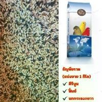 ราคา อาหารนก Deli Nature ธัญพืชรวมสำหรับนกคีรีบูน ฟิ้นซ์ นกกระจอกชวา (คีรีบูนแบ่งขาย 1 กิโล) (1729564888274864428)
