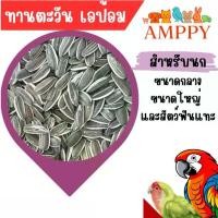 ราคา เมล็ดทานตะวัน เอป้อม 1kg อาหารนก ขนาดกลาง-ใหญ่ (1731702667362665669)